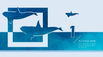 【海洋蓝】欧美简约实用商业计划书PPT模板示例4
