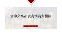 全中文高品质高端商务模版示例2