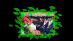 梦幻 清新 有趣 毕业 纪念 照片墙 视频 PPT示例3
