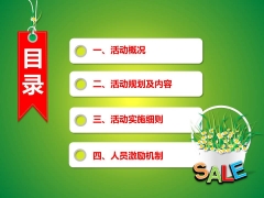 绿色清新节日促销活动方案【含文字】模板示例3