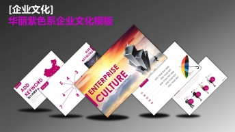 [企业文化]华丽紫色系企业文化模板示例2