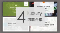 luxury 清新商务模板4套合集示例2