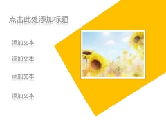 阳光暖黄色简洁设计Keynote模板示例3