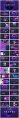 【变幻】蓝紫科技粒子互联网风格ppt模板示例3