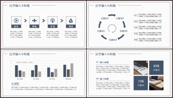 【轻设计】【素雅简约】实用通用可视化商务汇报模板示例4