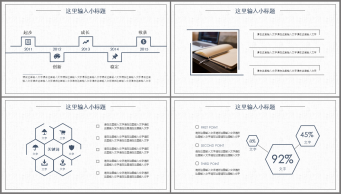 【轻设计】【素雅简约】大气通用可视化商务汇报模板-示例5
