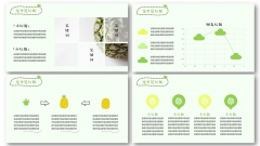 【夏日特辑之凤梨】水果清凉绿色小清新PPT模板示例5