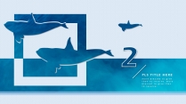 【海洋蓝】高颜值简约欧美风商务项目PPT模板示例4