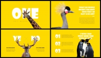 【极简主义】疯狂动物&欢乐黄色艺术&创意多图文杂志示例3