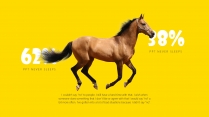 【极简主义】疯狂动物&欢乐黄色艺术&创意多图文杂志示例5