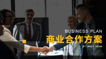 商业合作方案-简约中文版示例2