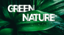 大气时尚绿色自然实用模板
