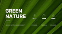 大气时尚绿色自然实用模板示例6