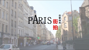 图片动态展播PPT模板之巴黎街拍 (5)示例5