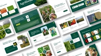 绿色农业蔬果主题演示模板示例3