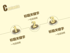 【金色立体2013】2013年通用工作类PPT模板示例4