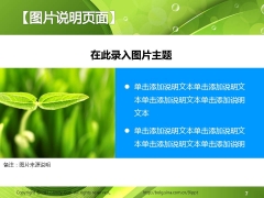 抽象绿色主题商务通用PPT模板示例5